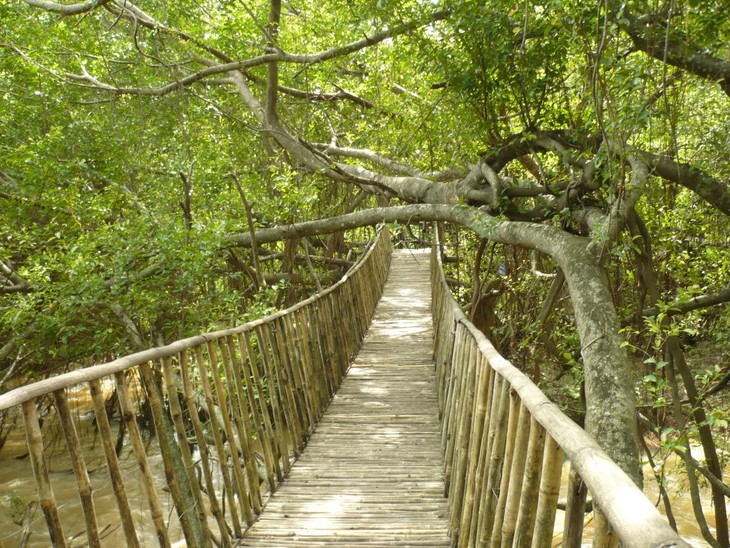 Don village, Dak Lak province - ảnh 3